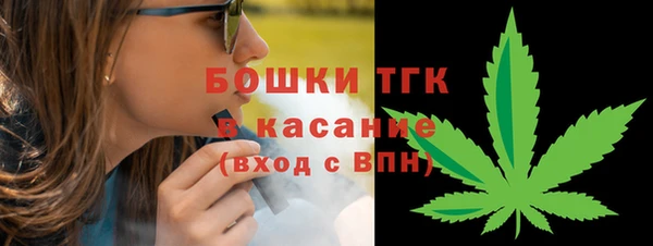 хмурый Алексин