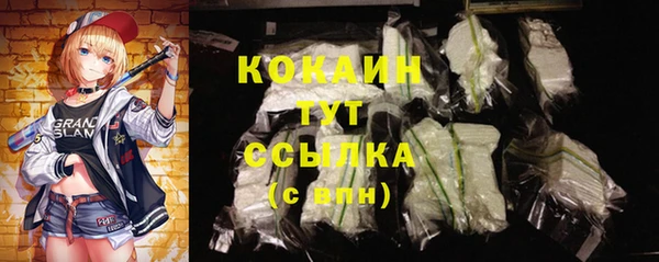 амф Алзамай