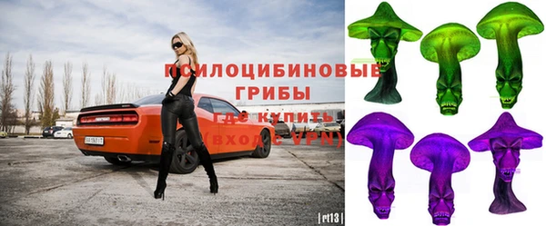 амф Алзамай